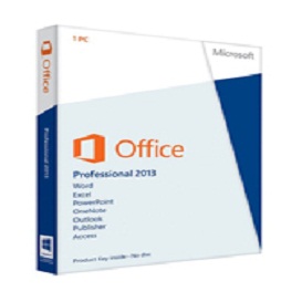 MS Office Professional 2013